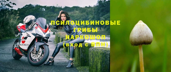 винт Абинск