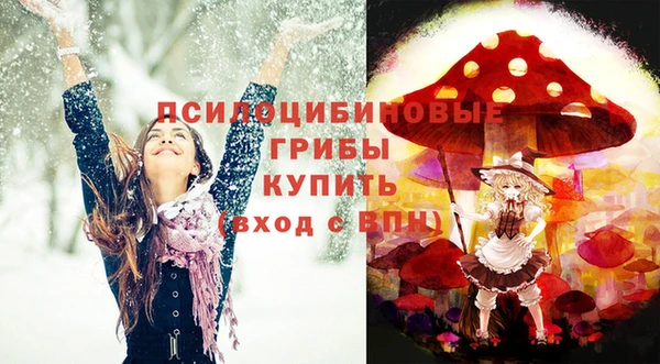 МДПВ Корсаков