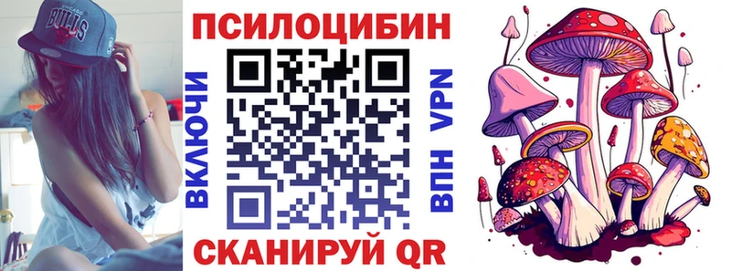 даркнет какой сайт  MEGA tor  Гусиноозёрск  что такое наркотик  Псилоцибиновые грибы Magic Shrooms 